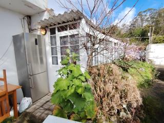 Mas  Gc-30. Finca con árboles frutales y tres casas en venta en firgas