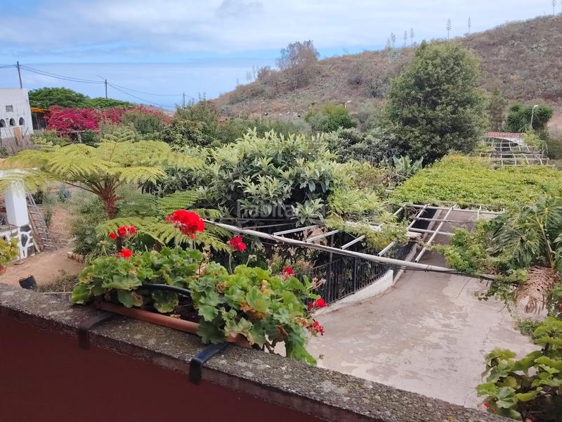 Foto 1cd363b2-bf42-488a-84d0-bf0dda3f79c0. Masía casa terrera con terreno en venta en Los Portales - Visvique Arucas