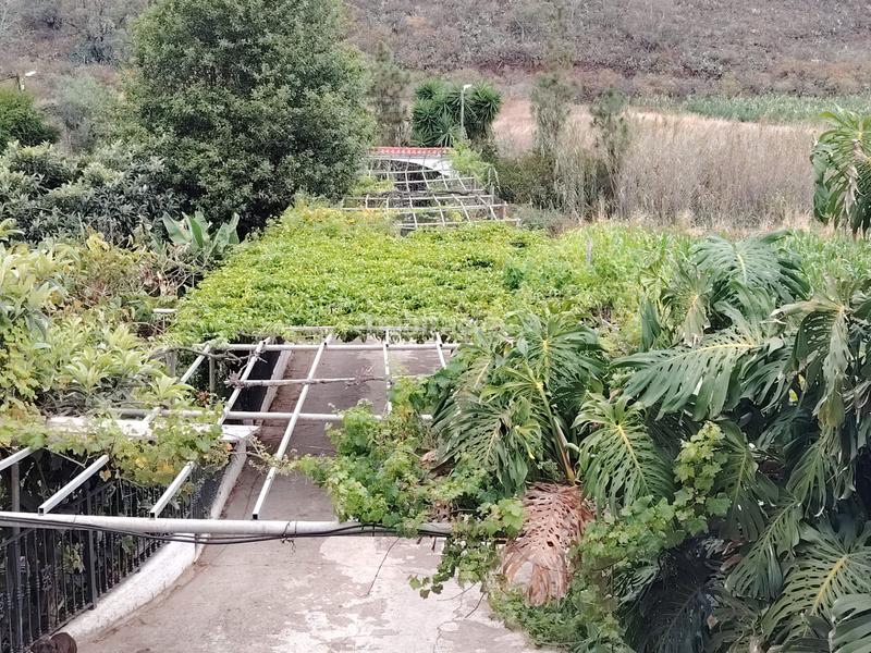 Foto 30870f09-e32b-4e6d-8c7f-d27d95e1d107. Masía casa terrera con terreno en venta en Los Portales - Visvique Arucas