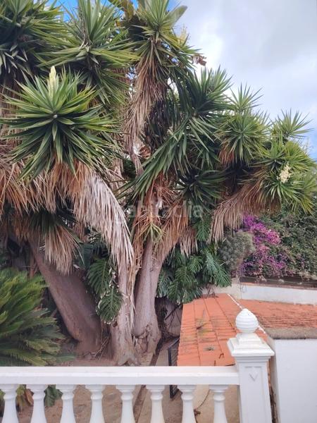 Foto 38c48aeb-e2dd-4fc0-8767-b9bdcc5d0868. Masía casa terrera con terreno en venta en Los Portales - Visvique Arucas