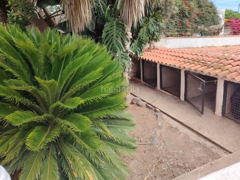 Foto 6a676289-0195-4b6e-9235-a8c5dea4157e. Masía casa terrera con terreno en venta en Los Portales - Visvique Arucas