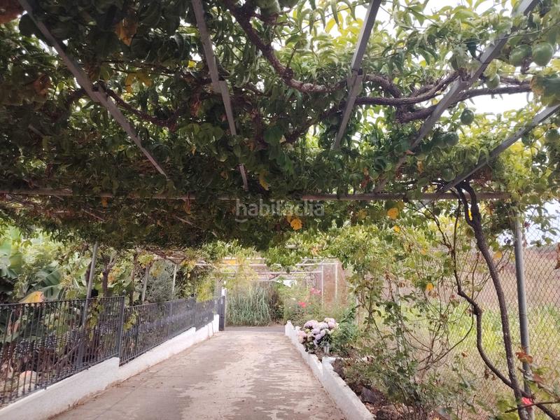 Foto 8180e60f-2676-43d7-8d92-6857a99a5148. Masía casa terrera con terreno en venta en Los Portales - Visvique Arucas