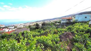 Terreny residencial a La Vega - El Amparo - Cueva del Viento