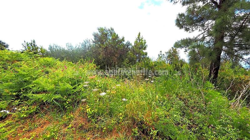 Foto a25037c9-f573-4bd6-b778-c881a4f44d90. Terreny residencial a La Vega - El Amparo - Cueva del Viento Icod de los Vinos