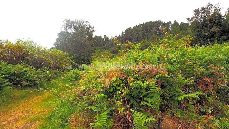 Foto ada3fda7-c983-4b61-abaa-f93596a6739e. Terreny residencial a La Vega - El Amparo - Cueva del Viento Icod de los Vinos