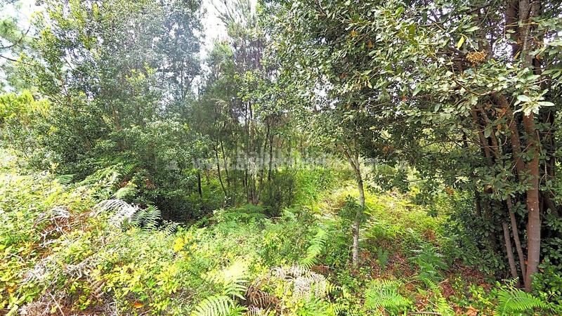 Foto 039478be-18aa-4d46-a581-cec9e196b122. Terrain résidentiel dans La Vega - El Amparo - Cueva del Viento Icod de los Vinos