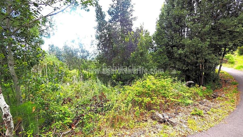 Foto 04f4c205-40d0-4988-8410-84fe0a64d292. Terreno residenziale in La Vega - El Amparo - Cueva del Viento Icod de los Vinos