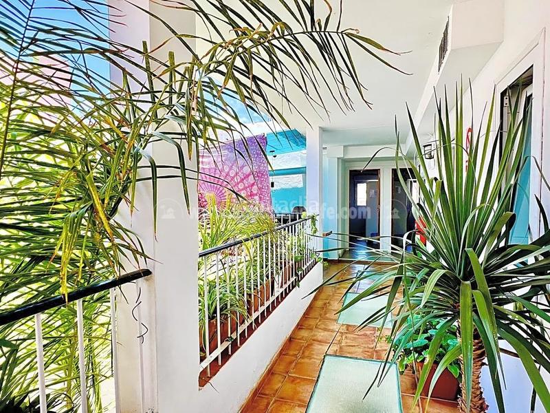 Foto c73cd09e-86c8-4a85-a9fe-0a7210cafff0. Maison dans Playa Jardín Puerto de la Cruz