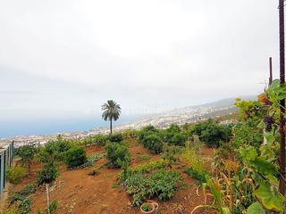 Residential Plot  Acequia