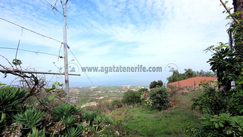Foto 0c112eb1-ab4f-47c3-8b92-84eee0ca522a. Mas dans Guancha (La)