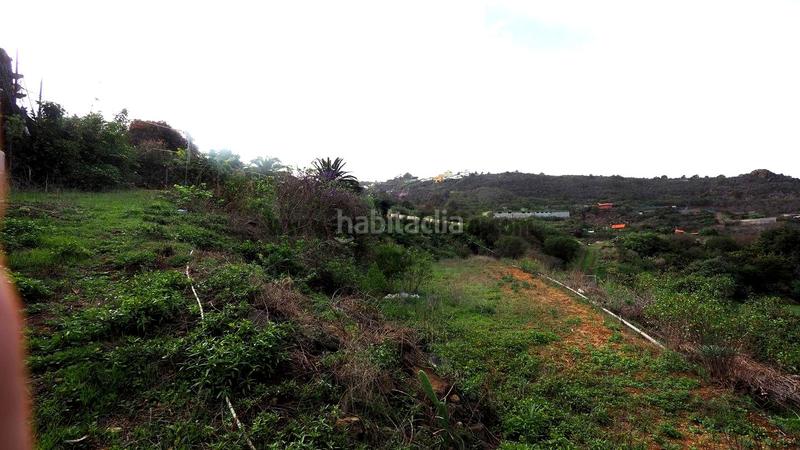 Foto 4258b660-ea8a-4a64-92be-127302b275c0. Mas dans Guancha (La)