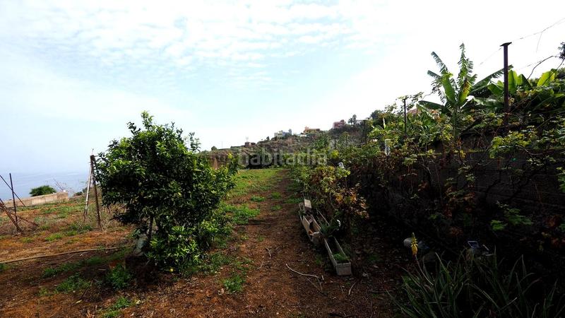 Foto 4e6633c1-f745-4fe3-a34f-7e80bd00cc1a. Mas dans Guancha (La)