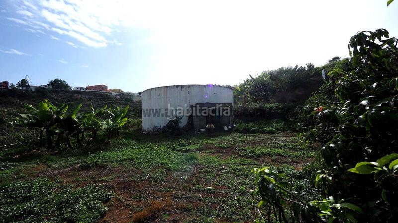 Foto 6317c355-5659-416e-b068-5329edfdae0a. Mas dans Guancha (La)