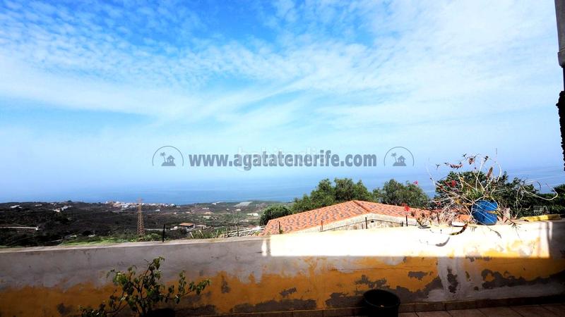 Foto 6631fb89-a455-4f8d-84e3-6038201a1028. Mas dans Guancha (La)