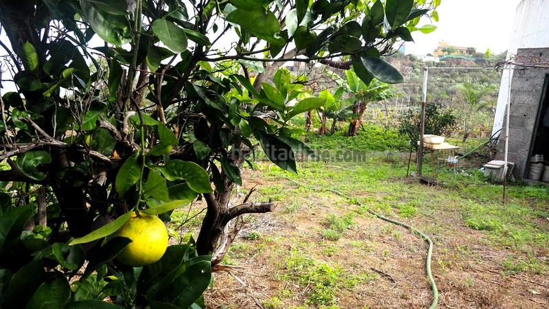Foto 6d7feed9-5c7b-43a4-8ea0-e1c0426093f3. Mas dans Guancha (La)