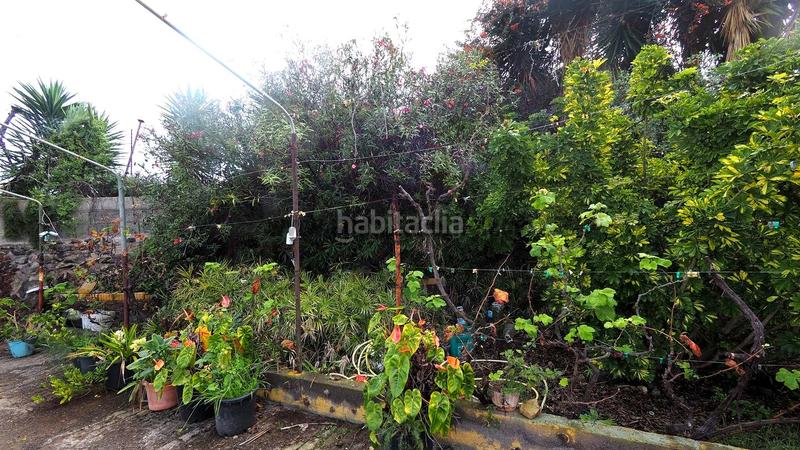 Foto 96c25be3-dd6f-46cb-b893-efe00b5b33cf. Mas dans Guancha (La)