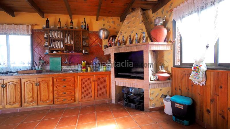 Foto c2c82e75-acf9-4707-9727-ac694c000e7a. Mas dans Guancha (La)