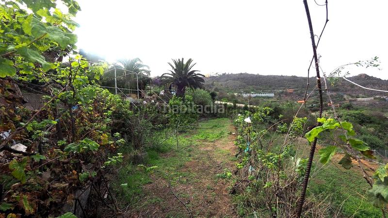 Foto cc45faba-cd02-44d3-8617-bf8fb6c3d737. Mas dans Guancha (La)