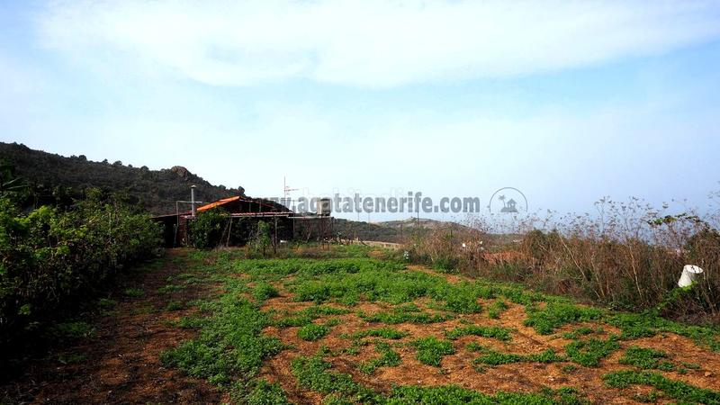 Foto d17d5494-8caa-41f4-9b2b-87731b180a7c. Mas dans Guancha (La)