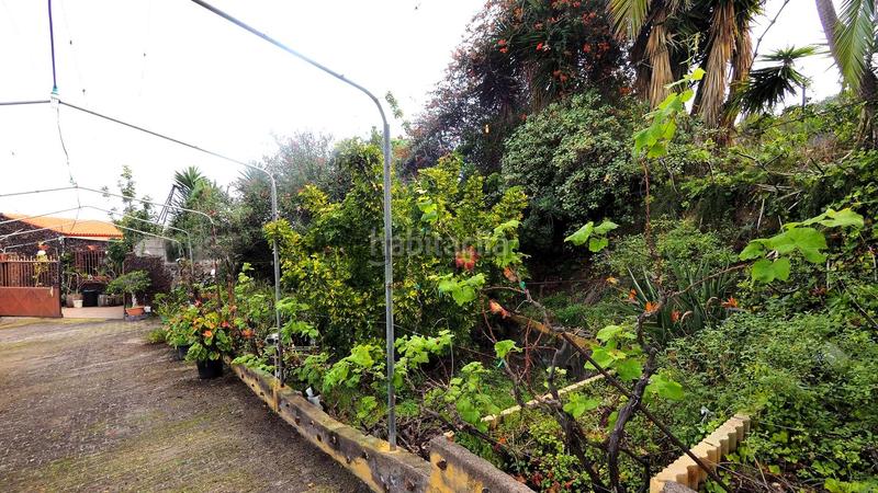 Foto f9385e5a-7814-41ab-a07d-9312bd39bdea. Mas dans Guancha (La)