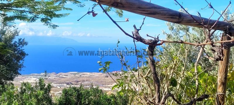 Foto 891ecf85-3b19-4a0d-b922-804a21f62c7a. Haus in Tijoco Bajo Adeje