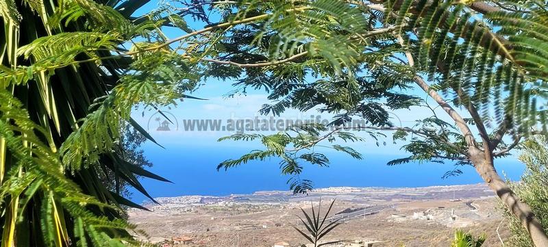 Foto 959a87e4-a95a-4ad3-8c06-731b8c40123c. Haus in Tijoco Bajo Adeje