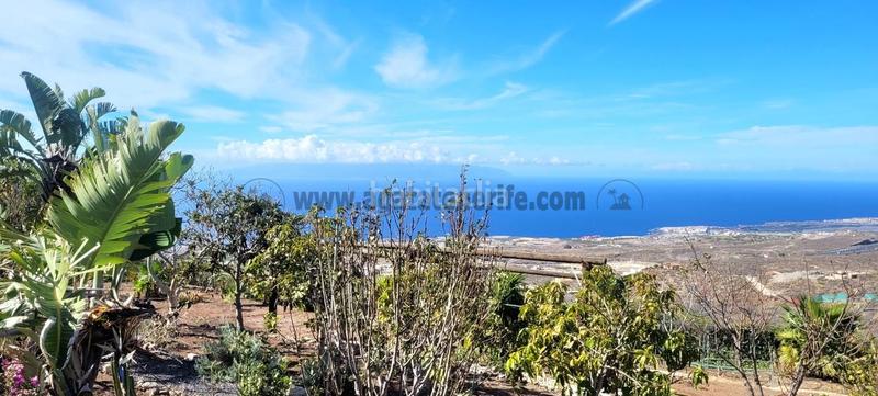 Foto d1561e4b-e5bd-4631-998f-92c573c1a0cc. Haus in Tijoco Bajo Adeje