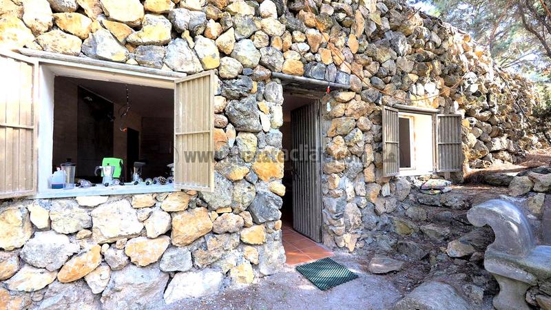 Foto 7dd8d93d-1bd3-4fef-b8e7-a93b7ebc9f4b. Mas dans Guancha (La)