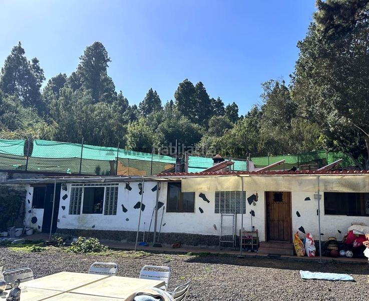 Foto 136bf1ba-5f1b-440d-a9b0-f7c55b05da32. Country house with parking in La Vega - El Amparo - Cueva del Viento Icod de los Vinos