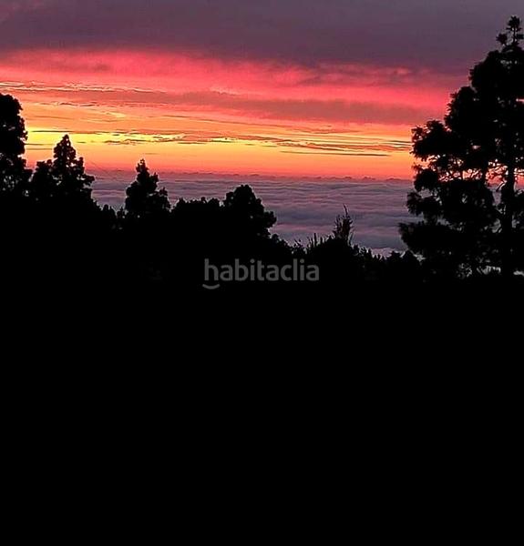 Foto 15679e1d-4e4d-4273-b5b2-b0b6d5022456. Country house with parking in La Vega - El Amparo - Cueva del Viento Icod de los Vinos