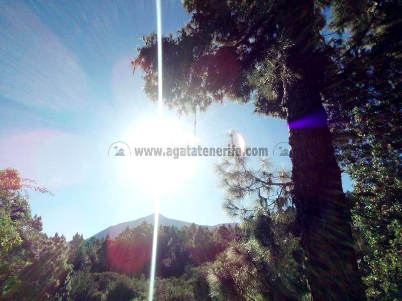 Foto 20a8cf36-6791-4a0c-9d95-729bb5a065b3. Country house with parking in La Vega - El Amparo - Cueva del Viento Icod de los Vinos