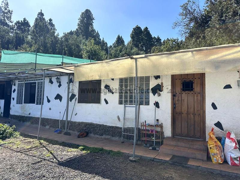 Foto 49ac265c-19dd-4f30-b9f8-755dc989f7b8. Country house with parking in La Vega - El Amparo - Cueva del Viento Icod de los Vinos