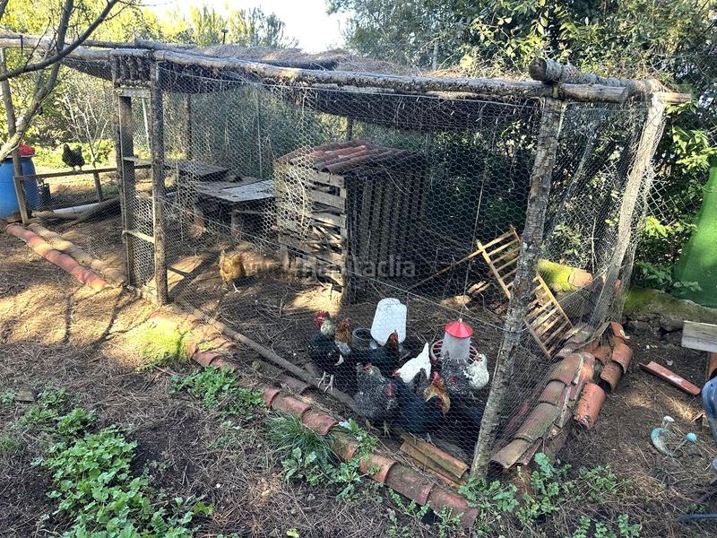 Foto 61103409-dda4-4831-afca-7d6b72026b94. Country house with parking in La Vega - El Amparo - Cueva del Viento Icod de los Vinos