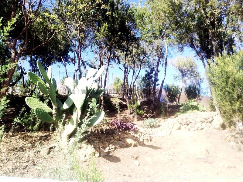 Foto 680e635f-083c-444d-8470-086942c2d6e5. Country house with parking in La Vega - El Amparo - Cueva del Viento Icod de los Vinos