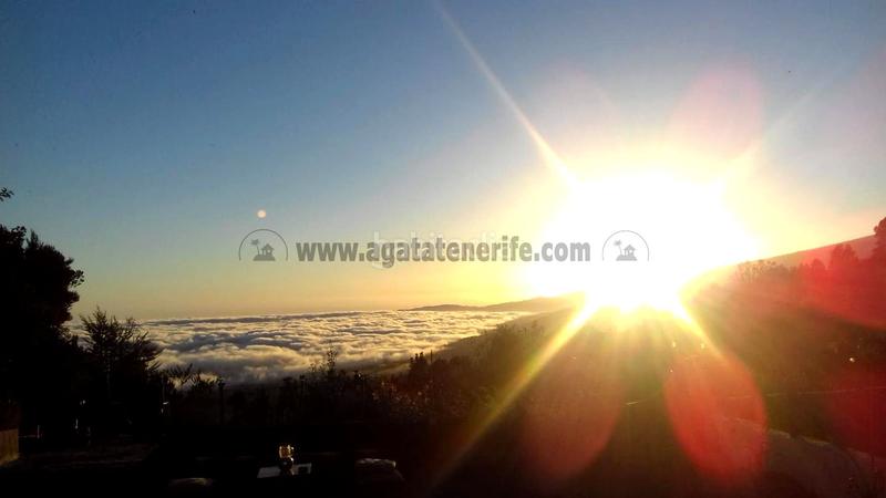 Foto 6a4f2eee-eba0-4cab-a5fb-b1ab4a2e298d. Country house with parking in La Vega - El Amparo - Cueva del Viento Icod de los Vinos