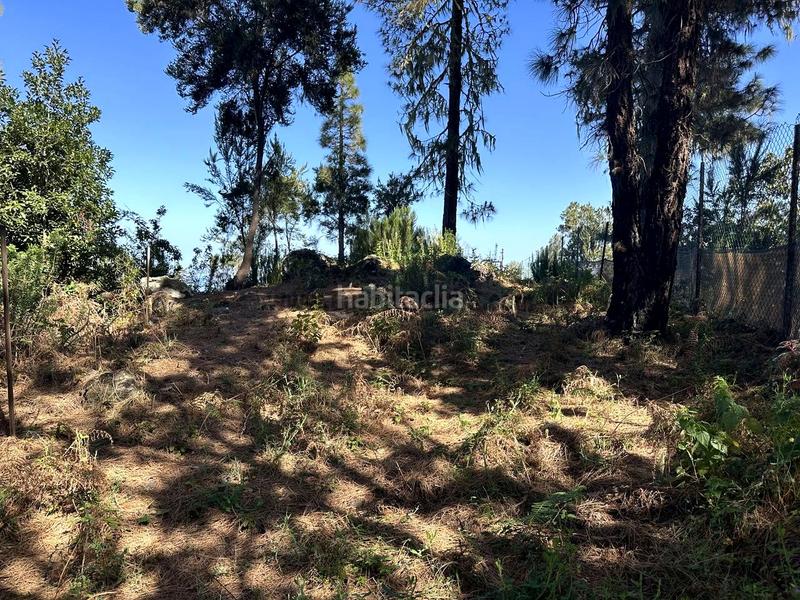 Foto 705b9d0a-6a0f-496e-a1df-61e48dbfdfaf. Country house with parking in La Vega - El Amparo - Cueva del Viento Icod de los Vinos