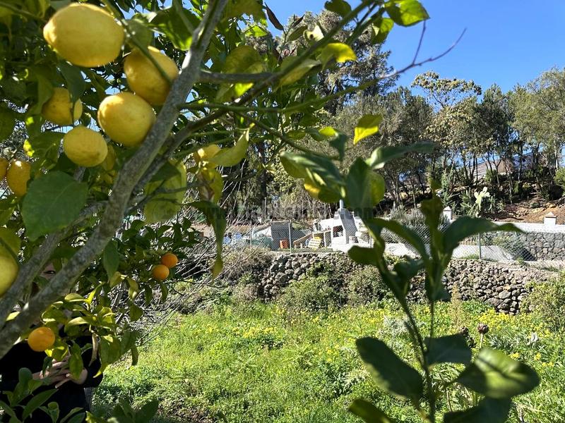 Foto 9c2090df-47f9-4420-84c7-5095ee18d263. Country house with parking in La Vega - El Amparo - Cueva del Viento Icod de los Vinos