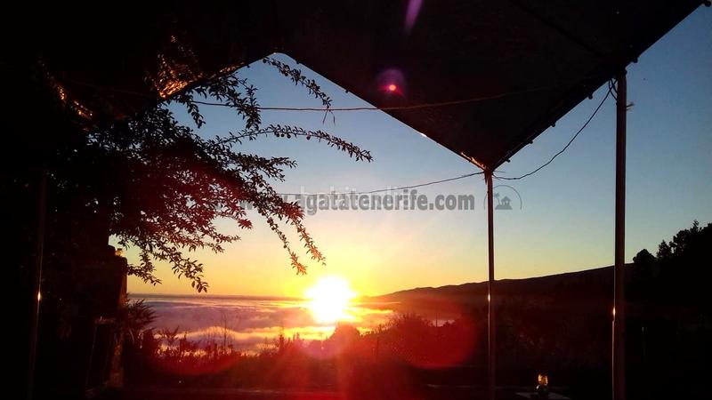 Foto a086478e-31e6-458d-8f41-78bd2374017b. Country house with parking in La Vega - El Amparo - Cueva del Viento Icod de los Vinos