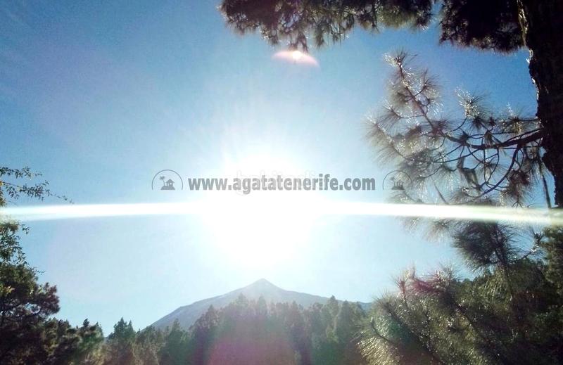 Foto c95722f5-a36a-4ddd-ac1d-157d29fcf007. Country house with parking in La Vega - El Amparo - Cueva del Viento Icod de los Vinos