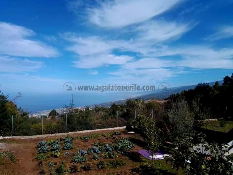 Foto d3a4f305-da68-426d-878d-9f5d2fae317d. Country house with parking in La Vega - El Amparo - Cueva del Viento Icod de los Vinos