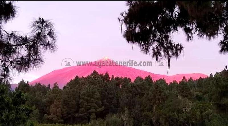 Foto e72040c1-23b3-4c5f-a931-e73562dbbf9f. Country house with parking in La Vega - El Amparo - Cueva del Viento Icod de los Vinos