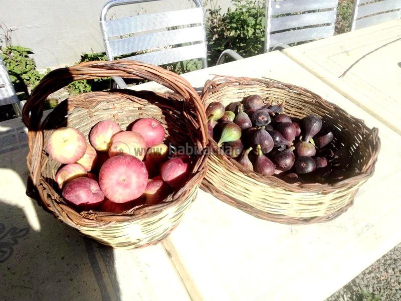 Foto 1d2492cd-d48a-4f38-86b5-4c1d9cbb0f1d. Mas avec parking dans La Vega - El Amparo - Cueva del Viento Icod de los Vinos