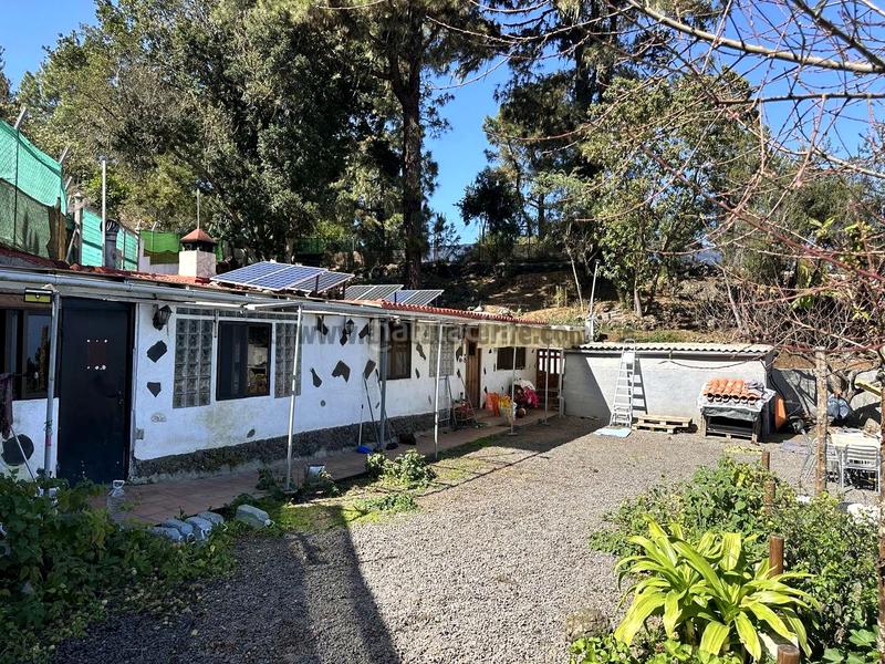 Foto 2dedd3df-3c00-46d0-88e0-bee913d5b91d. Mas avec parking dans La Vega - El Amparo - Cueva del Viento Icod de los Vinos