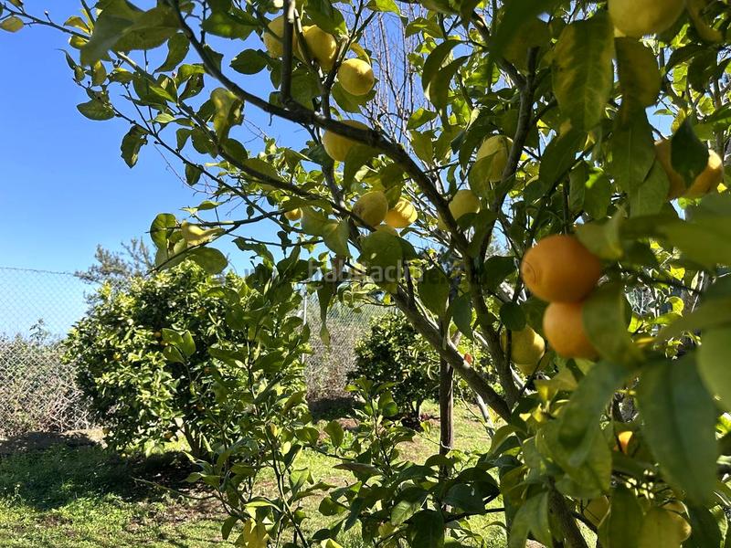 Foto 54aad045-5fc0-4ed7-aed1-59914d9dff43. Mas avec parking dans La Vega - El Amparo - Cueva del Viento Icod de los Vinos