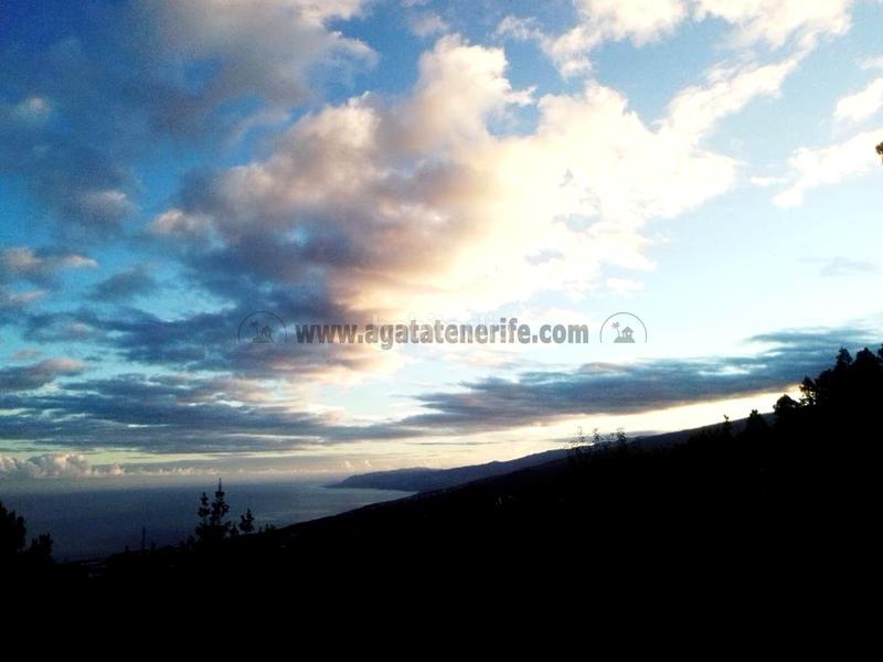 Foto 8b5051cd-a7d6-406b-baff-1ebef65761ec. Mas avec parking dans La Vega - El Amparo - Cueva del Viento Icod de los Vinos