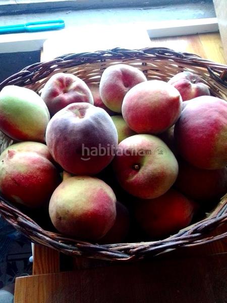 Foto 92de7a07-c322-4225-8b1a-4f3abfa04028. Mas avec parking dans La Vega - El Amparo - Cueva del Viento Icod de los Vinos