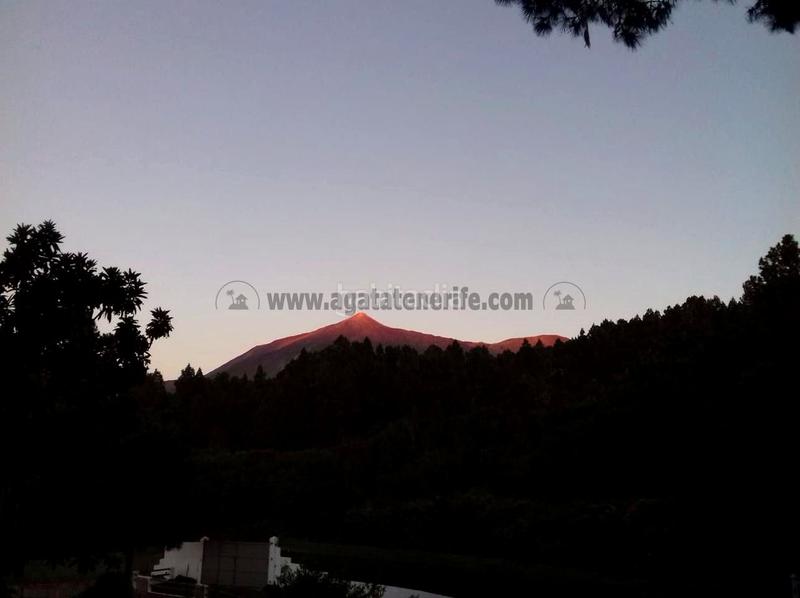 Foto 97ecf1ef-0937-4b41-b159-1ea296ecd471. Mas avec parking dans La Vega - El Amparo - Cueva del Viento Icod de los Vinos