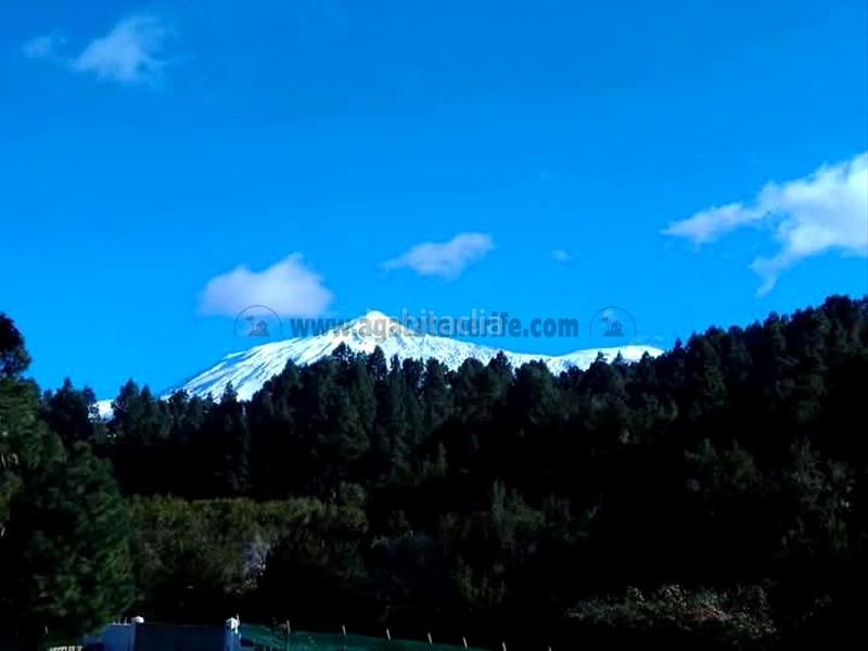 Foto bd24c240-2415-4996-acd1-574e661e2bd0. Mas avec parking dans La Vega - El Amparo - Cueva del Viento Icod de los Vinos