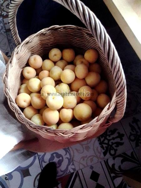 Foto 1d510a4e-e062-4758-9eb2-bba595c61986. Masia amb aparcament a La Vega - El Amparo - Cueva del Viento Icod de los Vinos