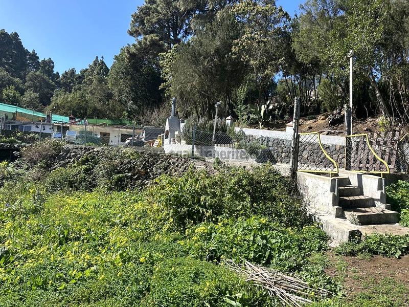 Foto 26866c9c-7f12-4d88-951d-6ac0e77a3269. Masia amb aparcament a La Vega - El Amparo - Cueva del Viento Icod de los Vinos